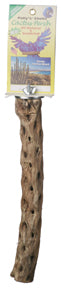 Cholla Cactus Perch - Assorted Sizes