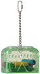 Lucky Bird Treasure Chest