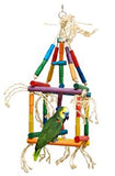 Single Cube Medium Parrot