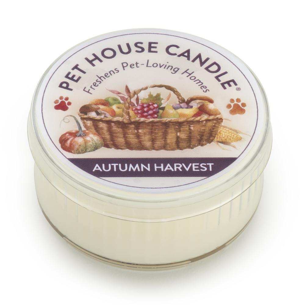 Autumn Harvest Mini Pet House Candle