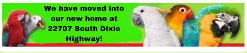 Special offers from Aviary Bird Shop