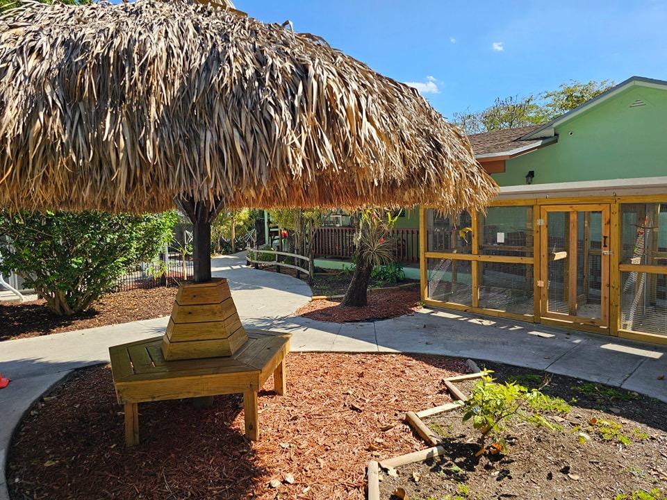 Aviary bird shop Clearance