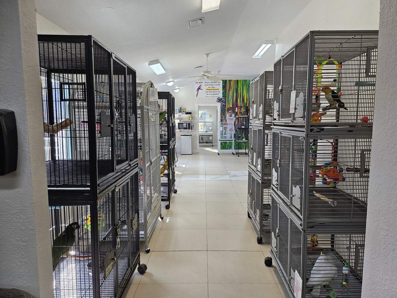 Aviary Bird Shop